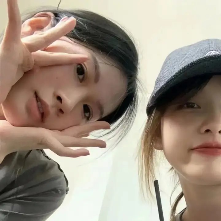暴龙真相